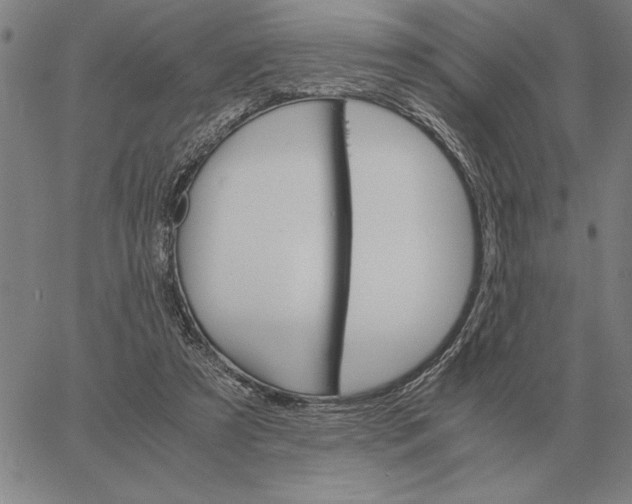 X0000061720305200512231415