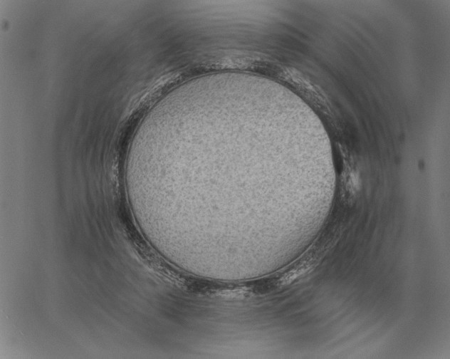 X0000061720306200512231415