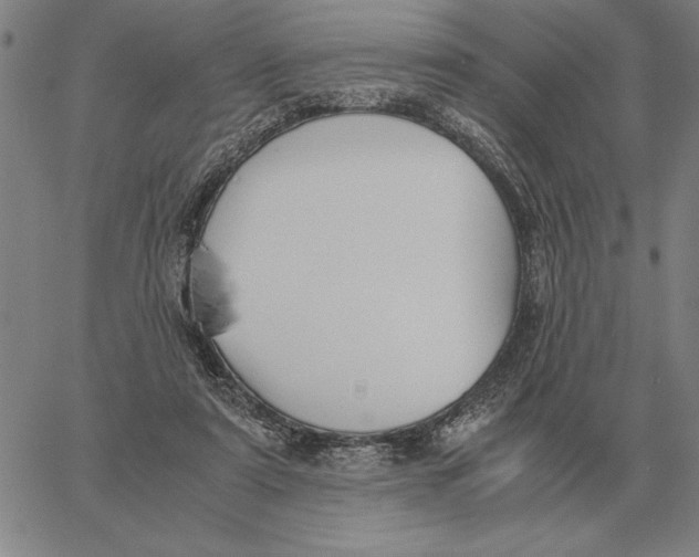 X0000061720307200512231415