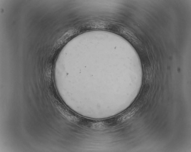 X0000061720309200512231415