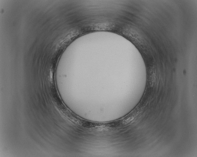 X0000061720310200512231415