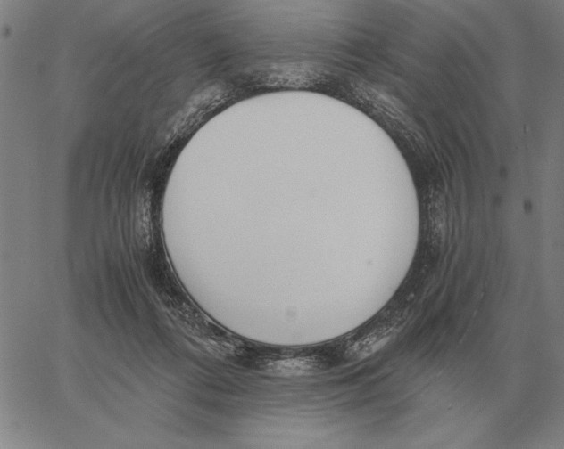 X0000061720312200512231415