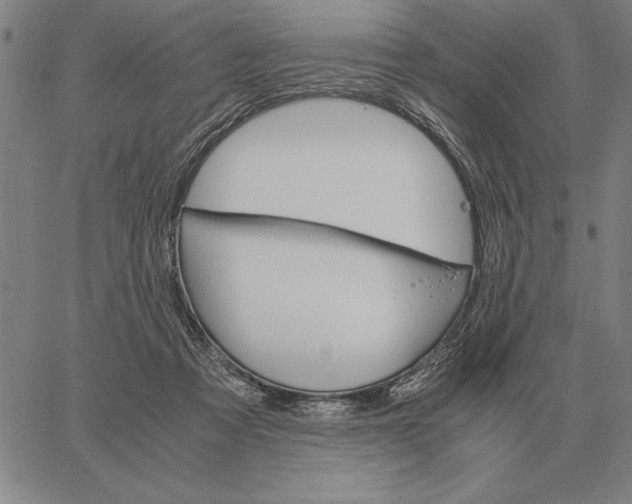 X0000061720313200512231415