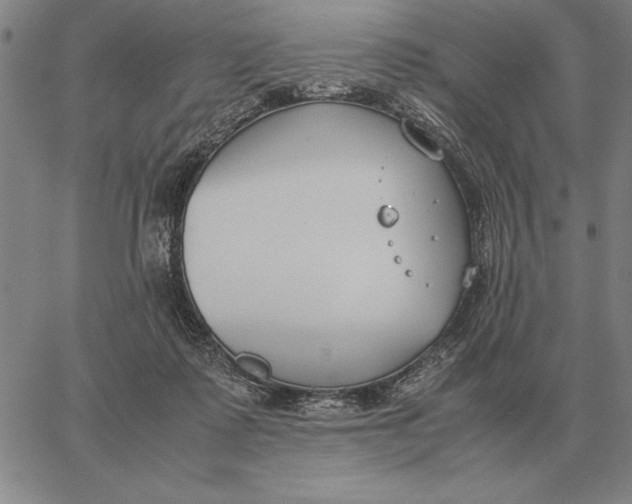 X0000061720315200512231415