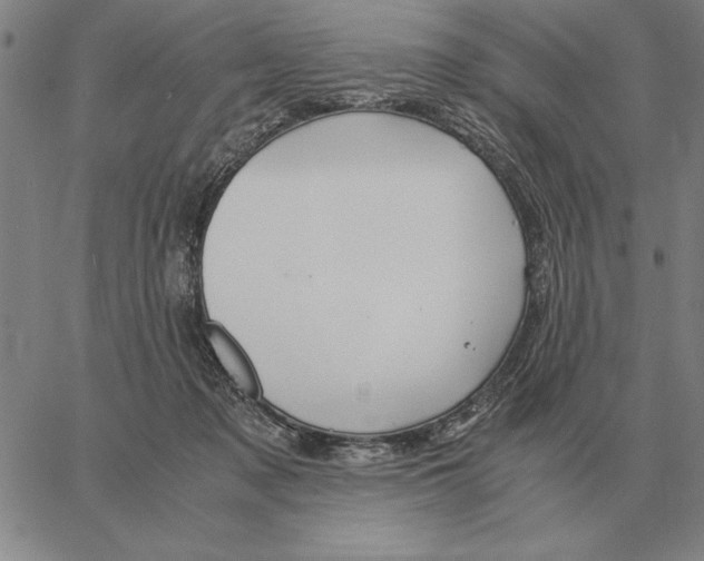 X0000061720317200512231415