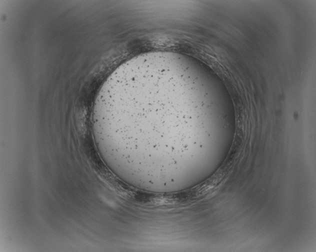 X0000061720319200512231415