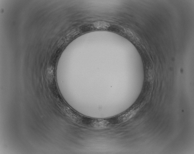 X0000061720321200512231415