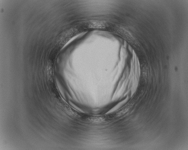 X0000061720322200512231415