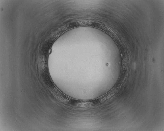 X0000061720323200512231415