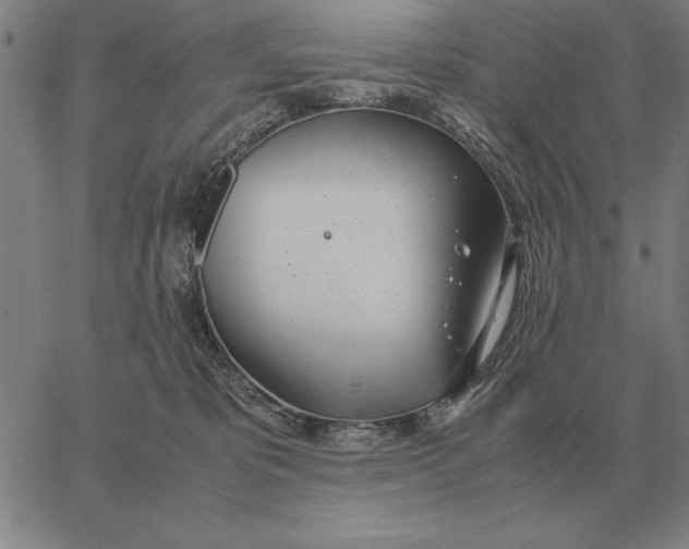 X0000061720325200512231415