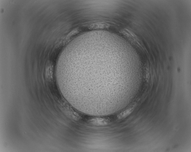 X0000061720326200512231415