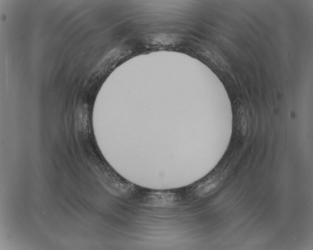 X0000061720328200512231415