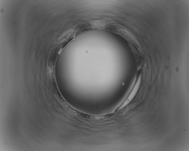 X0000061720329200512231415