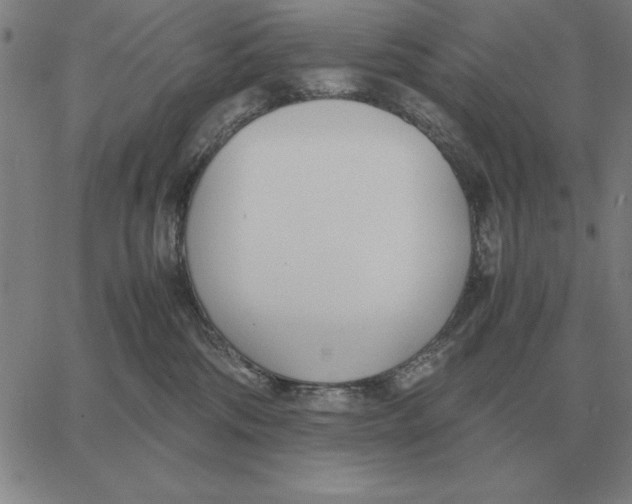 X0000061720330200512231415