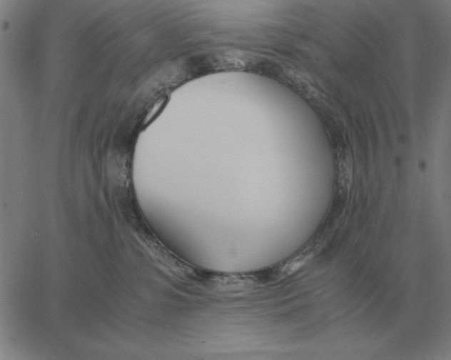 X0000061720331200512231415