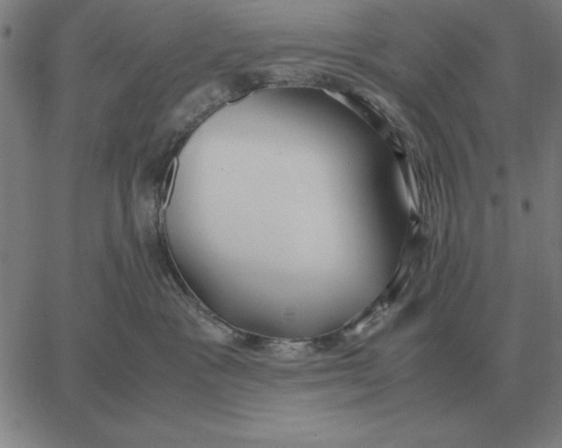 X0000061720333200512231415