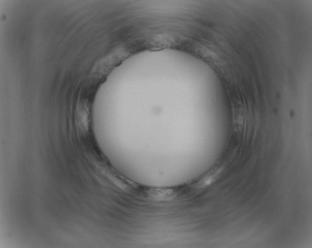 X0000061720334200512231415