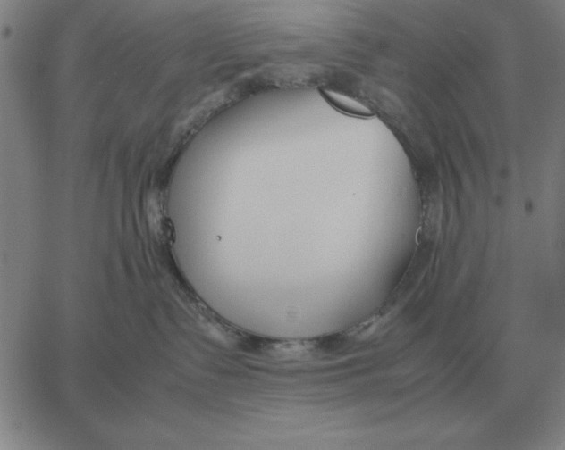 X0000061720335200512231415