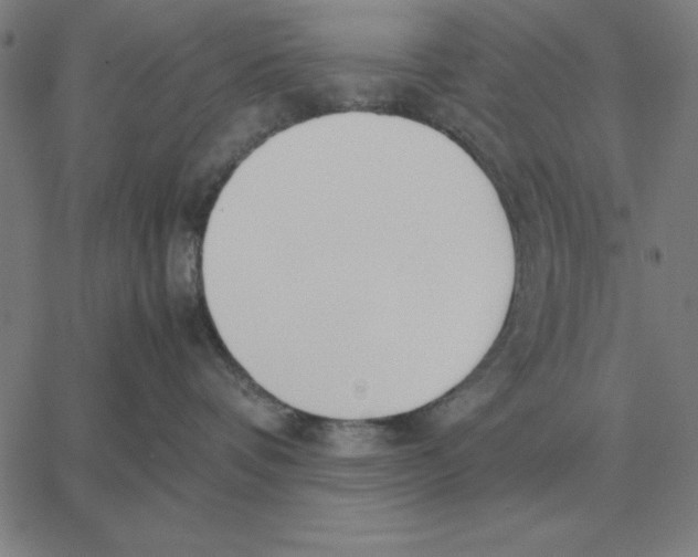 X0000061720336200512231415