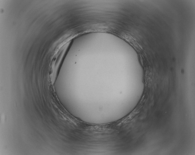 X0000061720338200512231414