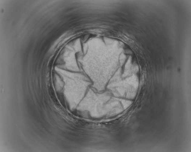 X0000061720339200512231414