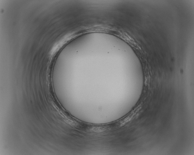 X0000061720341200512231414