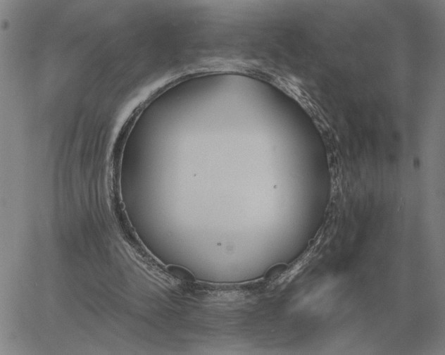 X0000061720342200512231414