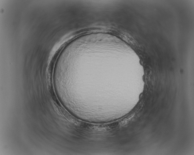 X0000061720343200512231414