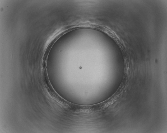 X0000061720344200512231414