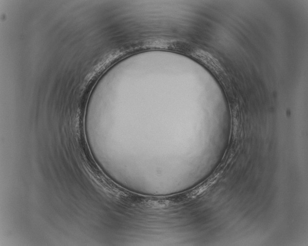 X0000061720346200512231414