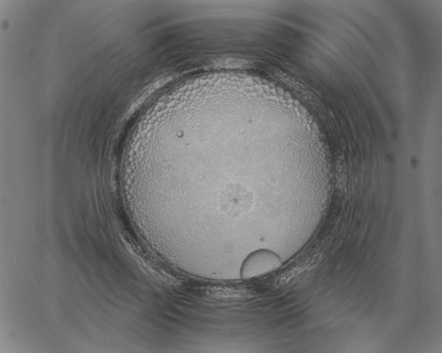 X0000061720347200512231414