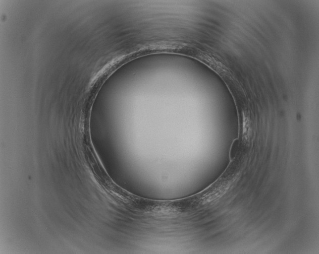 X0000061720348200512231414