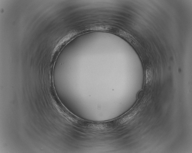 X0000061720349200512231414