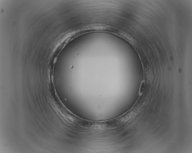 X0000061720350200512231414