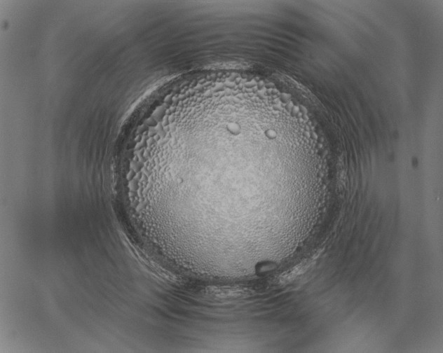 X0000061720351200512231414