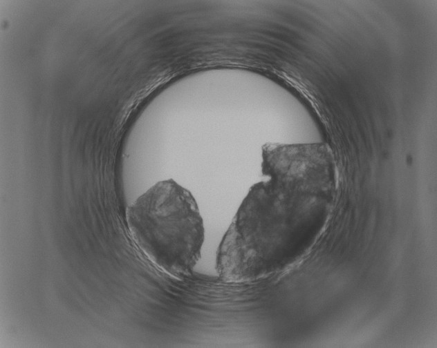 X0000061720353200512231414