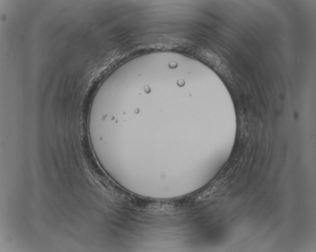 X0000061720354200512231414