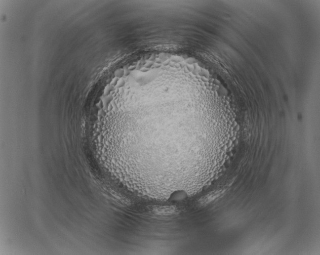 X0000061720355200512231414