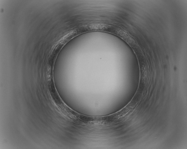 X0000061720356200512231414