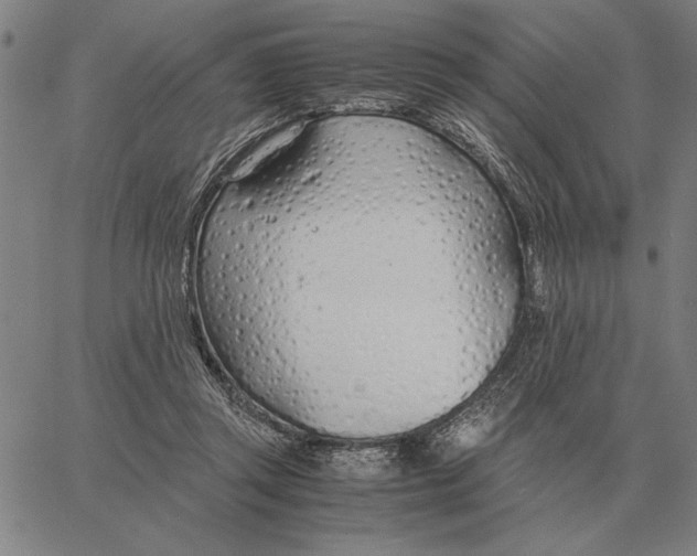 X0000061720357200512231414