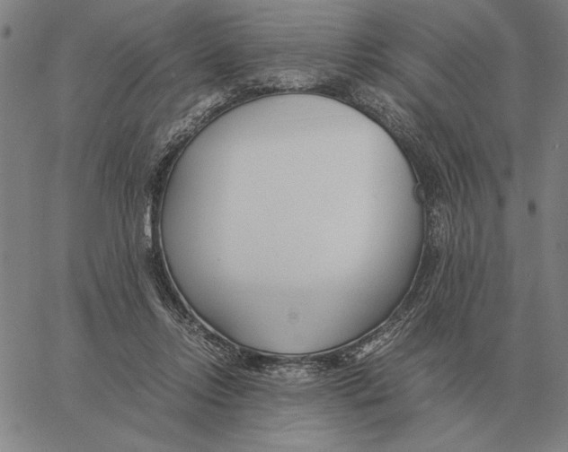 X0000061720358200512231414