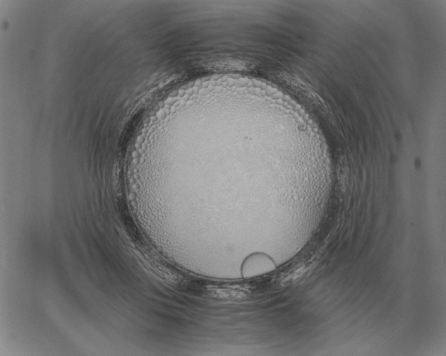 X0000061720359200512231414