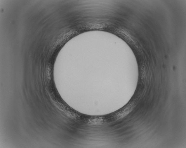 X0000061720362200512231414