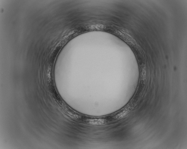 X0000061720363200512231414