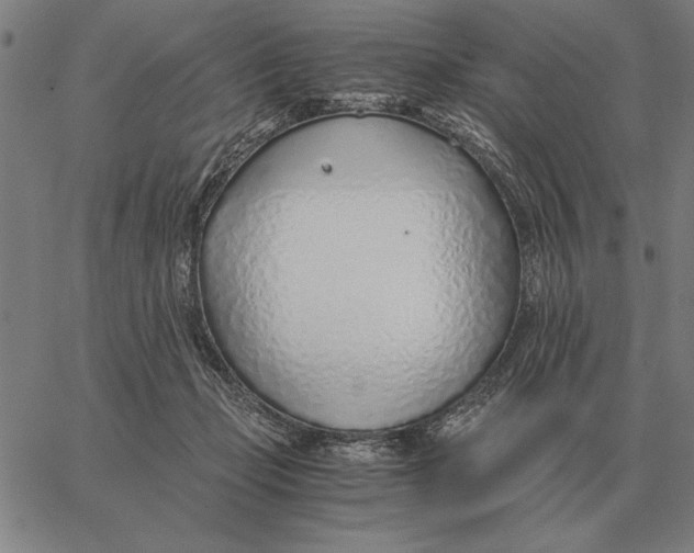 X0000061720365200512231414