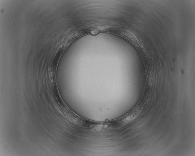 X0000061720366200512231414