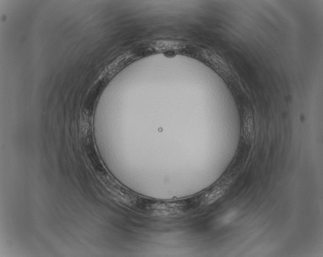 X0000061720367200512231414