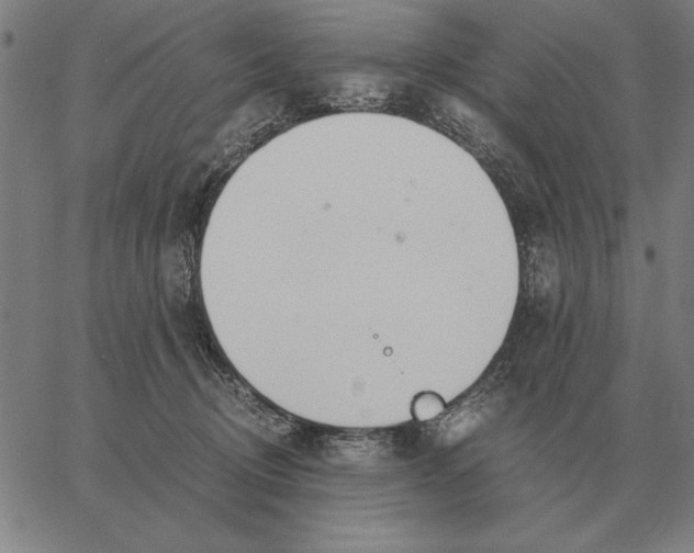 X0000061720370200512231414