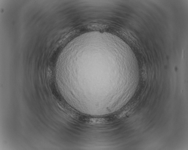 X0000061720371200512231414