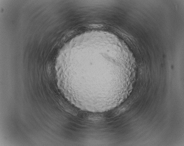 X0000061720373200512231414